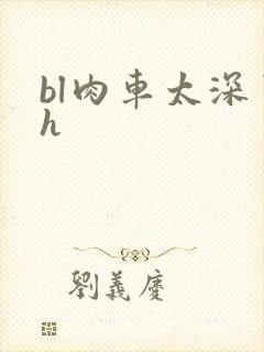 bl肉车太深了h