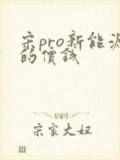 宋pro新能源的价钱