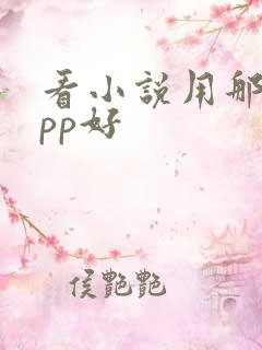 看小说用那个app好