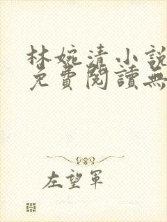 林婉清小说全文免费阅读无弹窗
