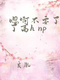 嗯啊不要了要到了高h np