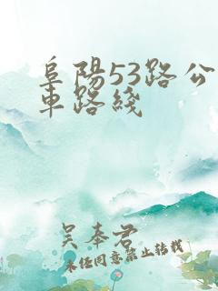 阜阳53路公交车路线
