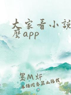大家看小说用什么app