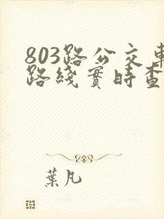 803路公交车路线实时查询