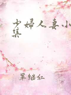 少妇人妻小说合集