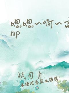 嗯嗯~啊~高hnp