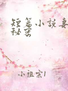 短篇小说妻子的秘密