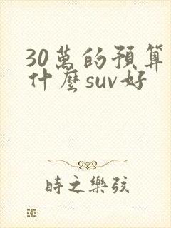 30万的预算买什么suv好