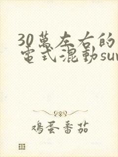 30万左右的插电式混动suv