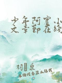 少年阿宾小说全文章节在线