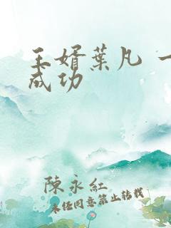王婿叶凡 一起成功