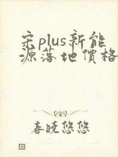 宋plus新能源落地价格
