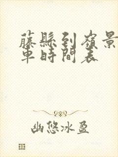 藤县到岭景公交车时间表