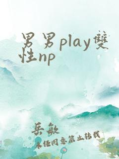 男男play双性np