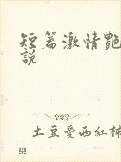 短篇激情艳情小说