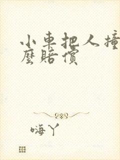 小车把人撞了怎么赔偿