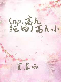 (np,高h,纯肉)高h小说