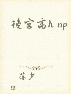 后宫高h np