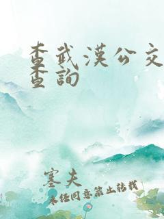 查武汉公交实时查询