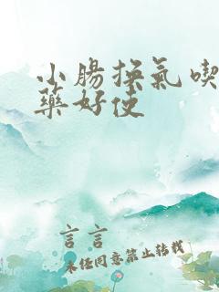 小肠换气吃什么药好使
