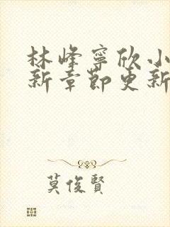林峰宁欣小说最新章节更新