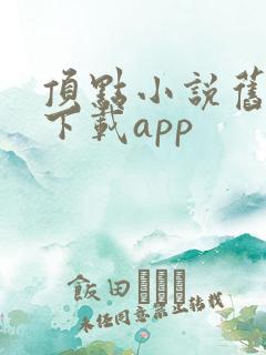顶点小说旧版本下载app