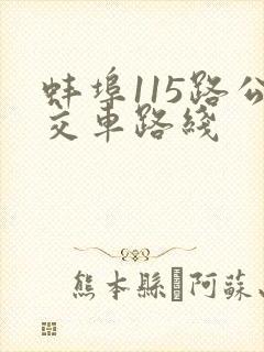 蚌埠115路公交车路线