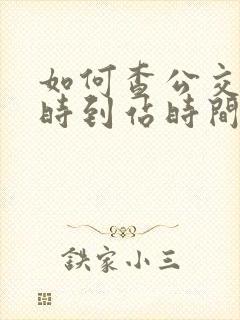 如何查公交车实时到站时间