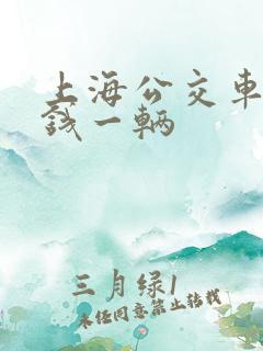 上海公交车多少钱一辆