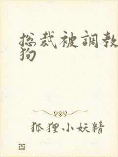 总裁被调教成母狗
