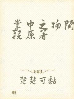 掌中之物开车片段原著