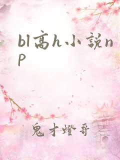 bl高h小说np