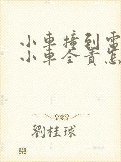 小车撞到电动车小车全责怎样理赔