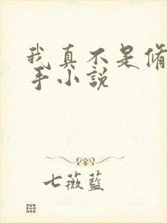 我真不是修仙高手小说 我真不是修仙高手小说