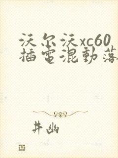 沃尔沃xc60插电混动落地多少钱啊