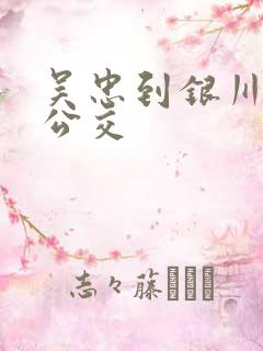 吴忠到银川城际公交
