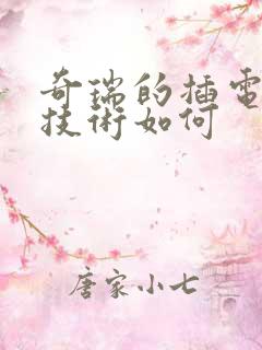 奇瑞的插电混动技术如何