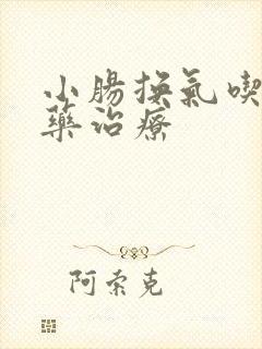 小肠换气吃什么药治疗