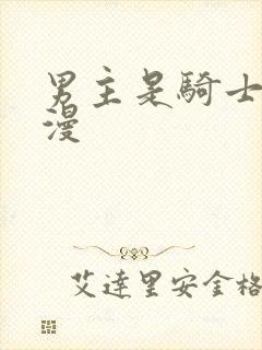 男主是骑士的动漫