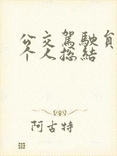 公交驾驶员年终个人总结