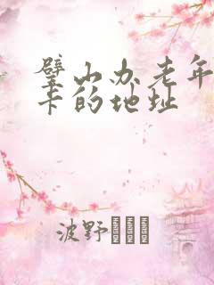 璧山办老年公交卡的地址 璧山办老年公交卡的地址