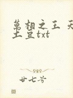 万相之王 天蚕土豆txt