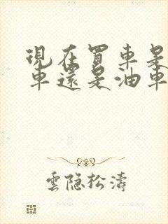 现在买车是买电车还是油车好呢 现在买车是买电车还是油车好呢