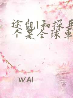 途观l和探岳哪个是全球车型
