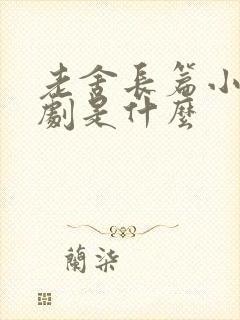 老舍长篇小说话剧是什么