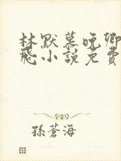 林默慕晚卿贺鸿飞小说免费阅读