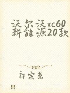 沃尔沃xc60新能源20款价格