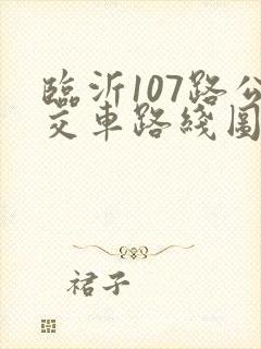 临沂107路公交车路线图