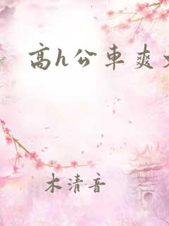 高h公车爽文