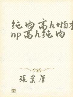 纯肉高h啪校园np高h纯肉